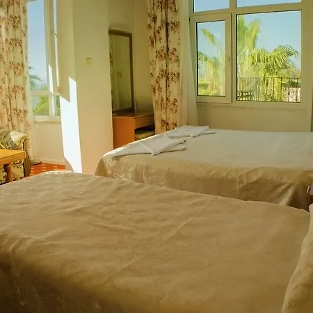 Seril 1 费特希耶