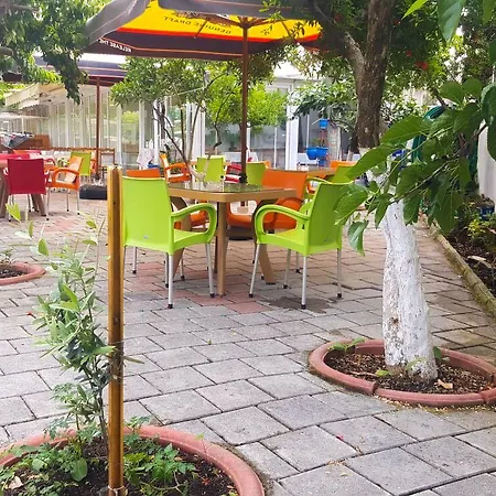 Seril 1 2* 费特希耶