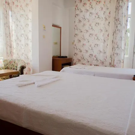 Seril 1 费特希耶